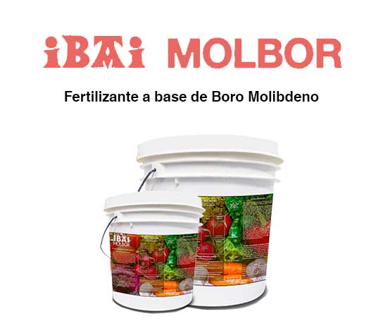 fertilizante liquido