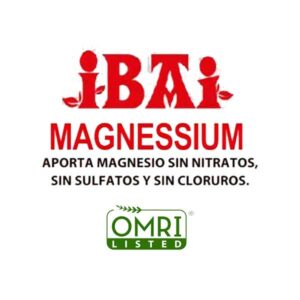 magnesio