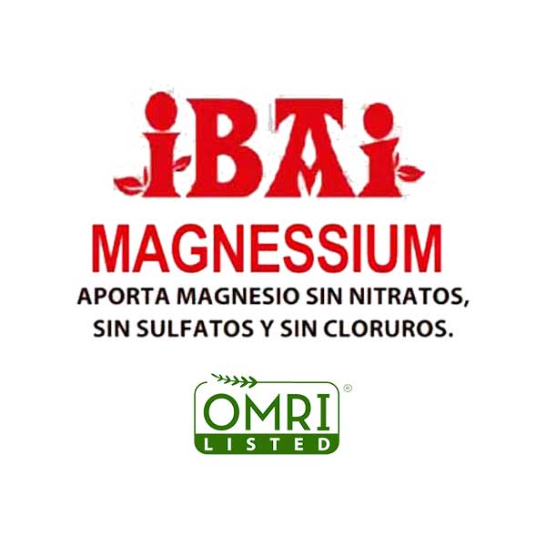 magnesio