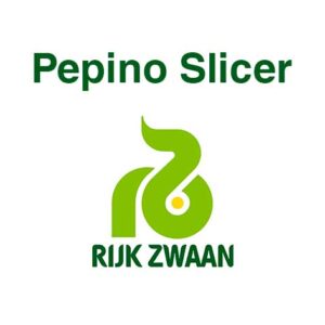 pepino
