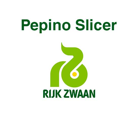 pepino