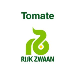 tomate
