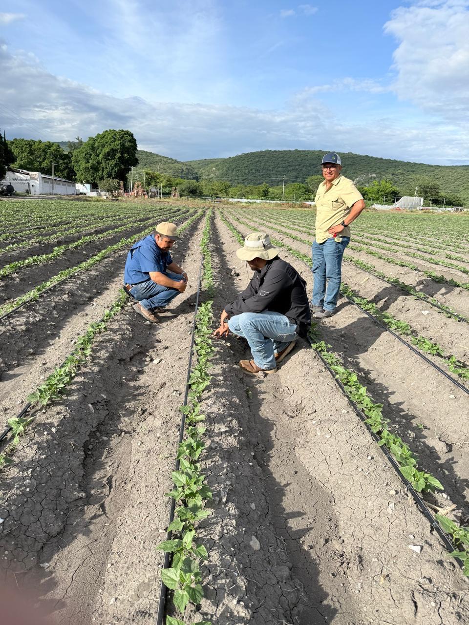 Agromar plus puebla