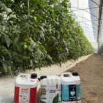 Agroquímicos Agromar plus